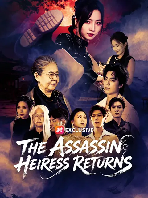 The Assassin Heiress Returns poster