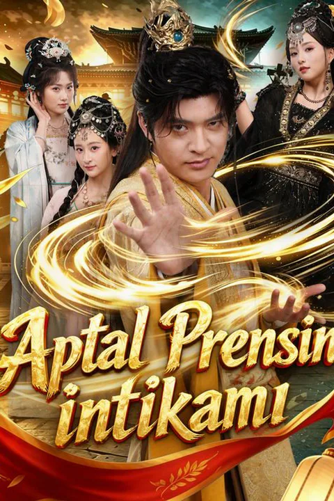 The Assassin Prince's Gambit poster