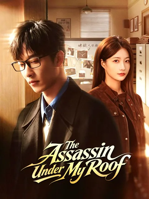 The Assassin Under My Roof poster
