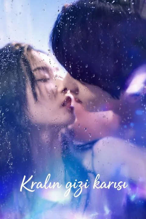 The Best Actor's Secret Wife poster