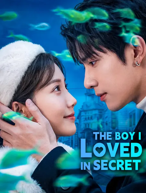 The Boy I Loved in Secret poster