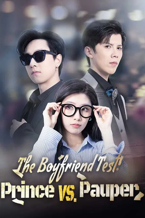 The Boyfriend Test: Prince vs. Pauper poster
