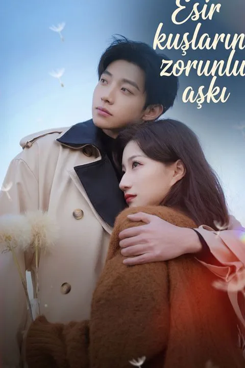 The Captive Lovers' Rebellion poster