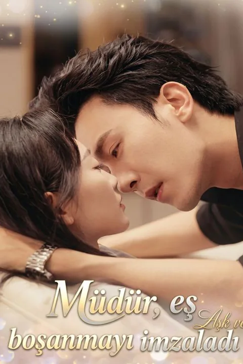 The CEO Begs His Wife to Stay poster
