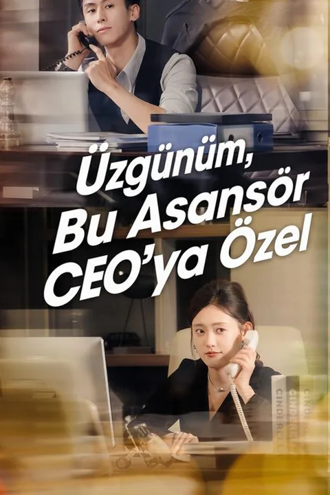 The CEO Is My Online Date poster