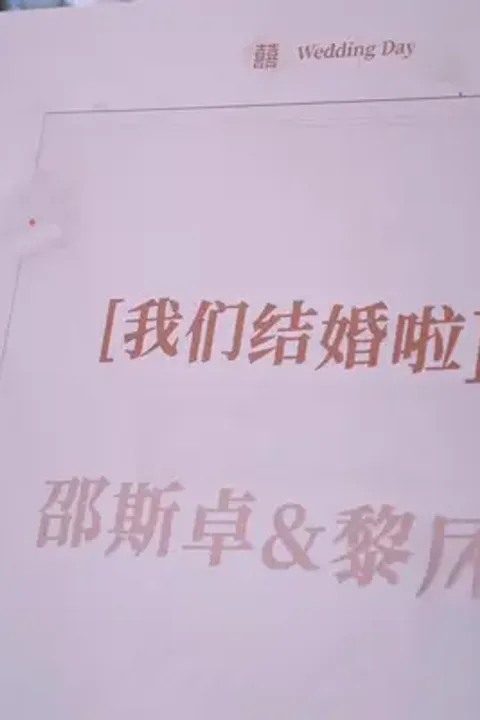 The CEO's Amnesiac Wife poster