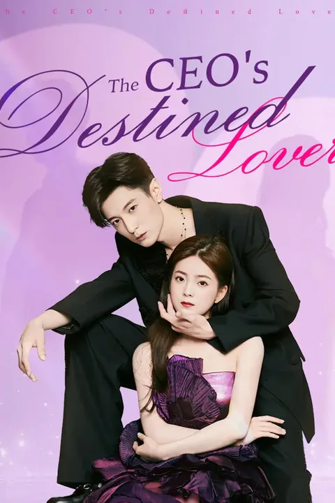 The CEO's Destined Lover poster