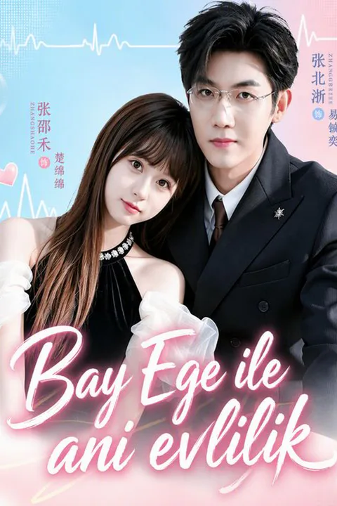 The CEO's Flash Bride poster