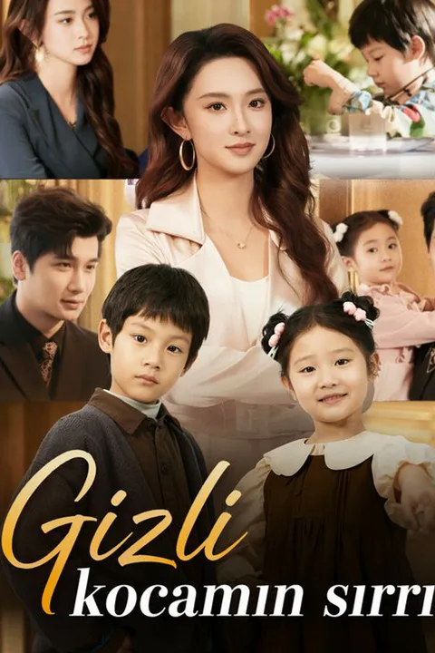 The CEO's Secret Wife poster