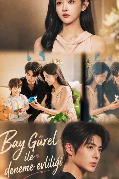 The CEO's Trial Marriage Pact poster