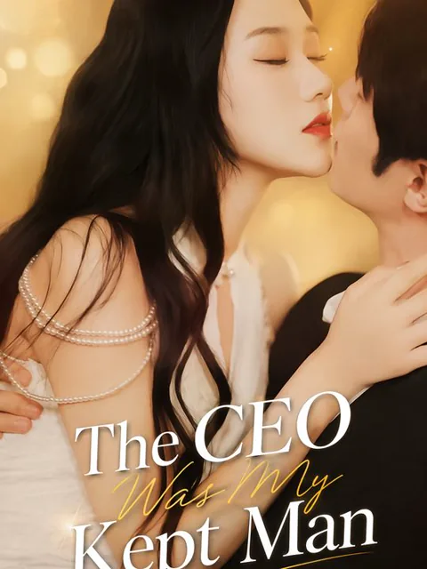 The CEO Was My Kept Man poster