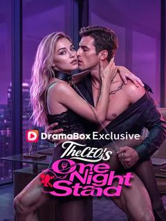 The CEO's One Night Stand poster