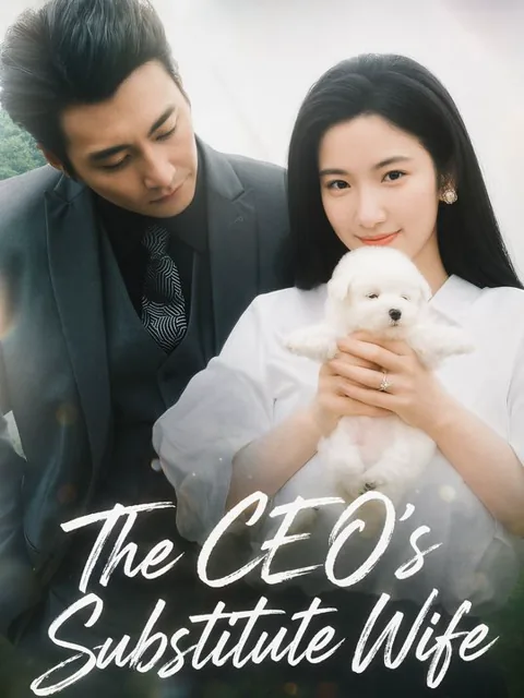 The CEO's Substitute Wife poster