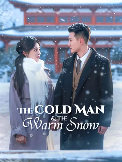 The Cold Man & the Warm Snow poster