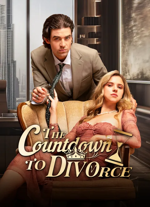 The Countdown to Divorce poster