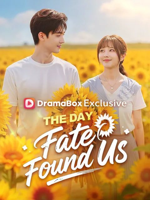 The Day Fate Found Us(DUBBED) poster