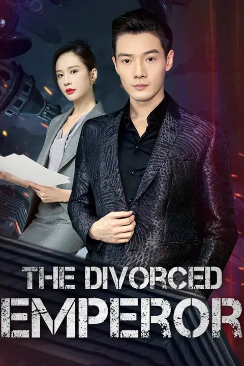 The Divorced Lord Of The Night poster