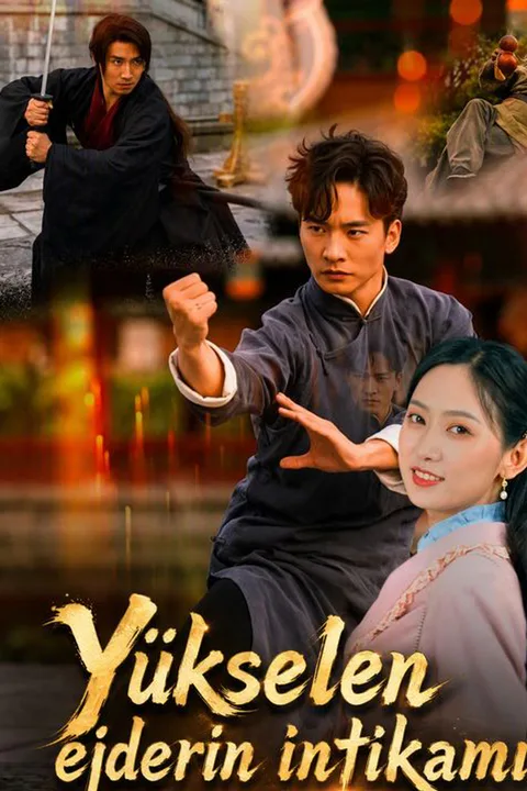 The Dragon's Vengeance poster