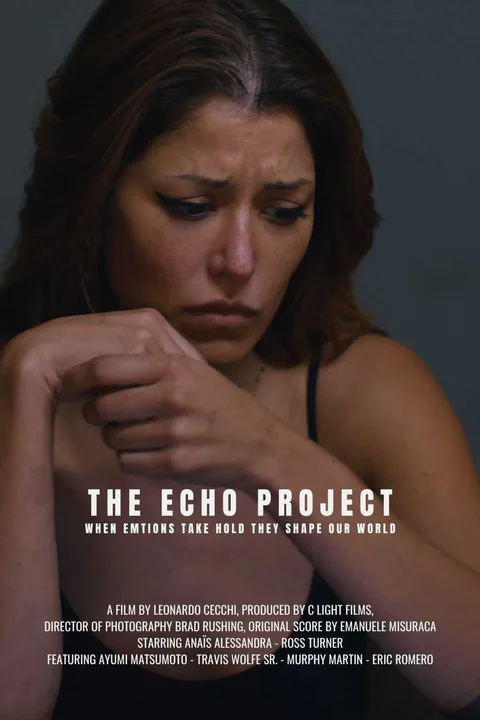 THE ECHO PROJECT poster