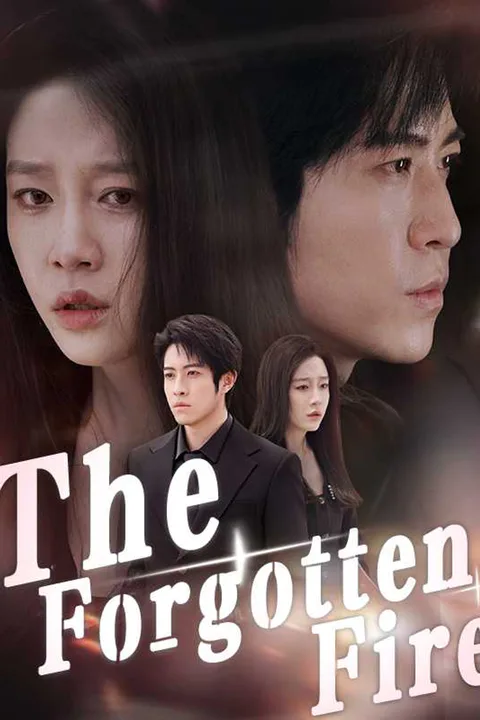 (Dubbed) The Forgotten Fire poster