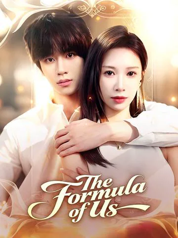 The Formula of Us poster