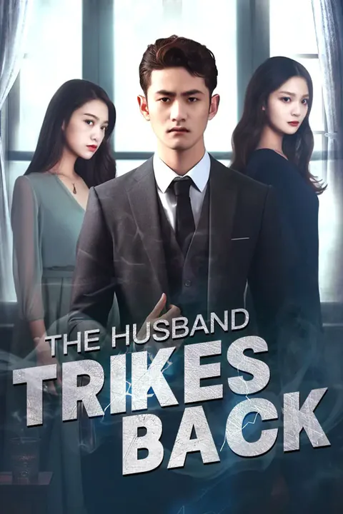 The Husband Strikes Back poster