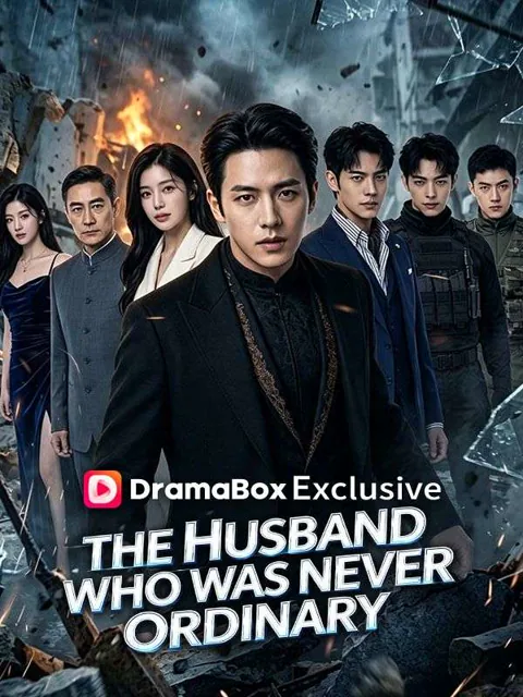 The Husband Who Was Never Ordinary poster