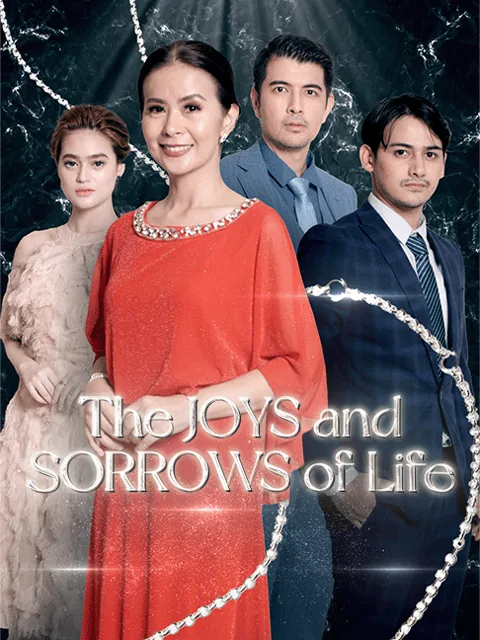 The Joys and sorrows of life poster