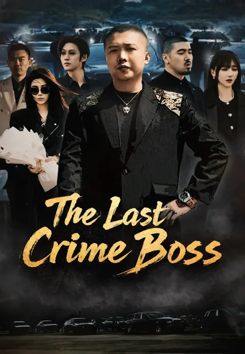 The Last Crime Boss poster