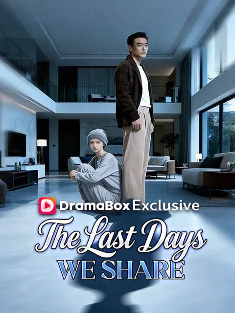 The Last Days We Share (DUBBED) poster