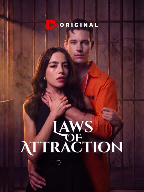 The Laws of Attraction poster