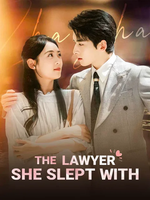 The Lawyer She Slept With poster