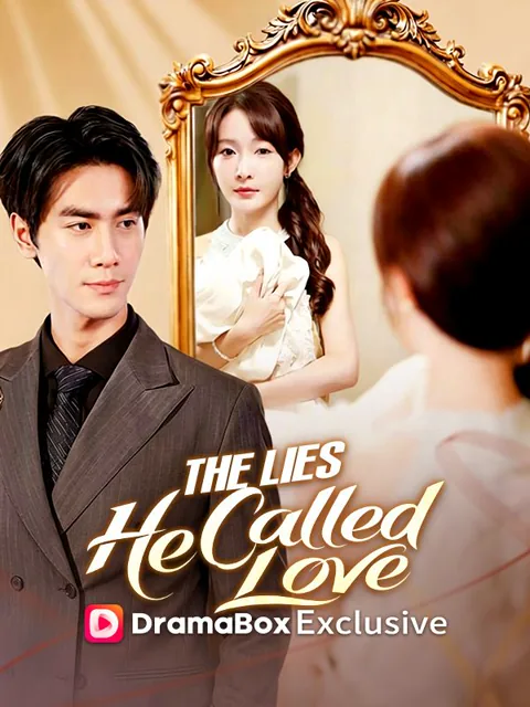The Lies He Called Love poster
