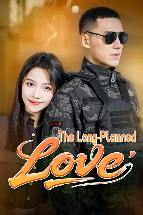 The Long-Planned Love poster
