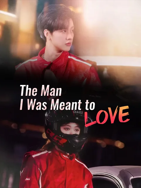 The Man I Was Meant to Love poster