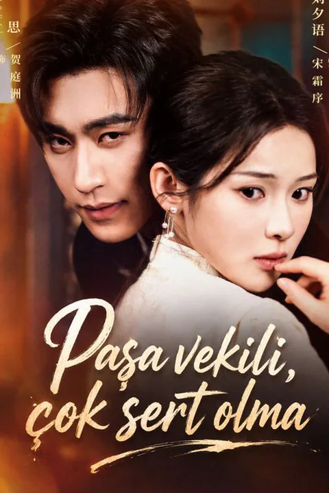 The Marshal's Secret Lover poster