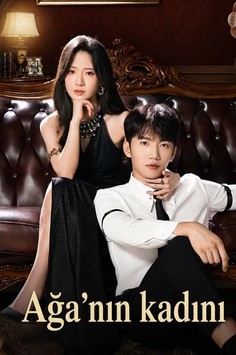 The Mob Boss's Forbidden Prize poster