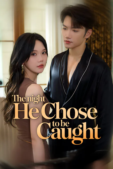 The Night He Chose to Be Caught poster