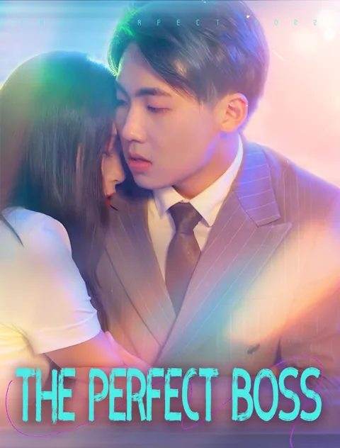 THE PERFECT BOSS poster