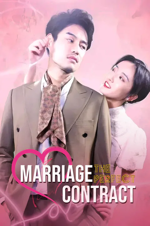 The Perfect Marriage Contract poster