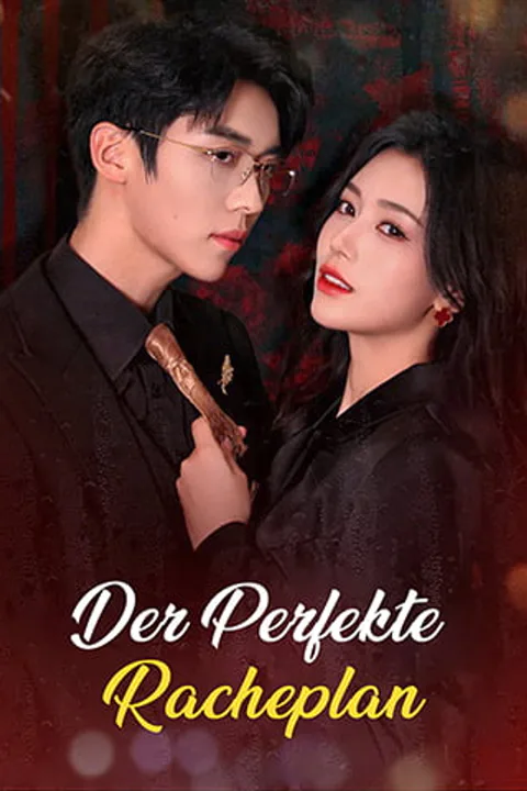 The Perfect Revenge Plan poster