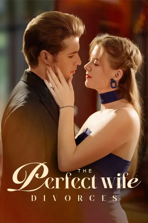 The Perfect Wife Divorces poster