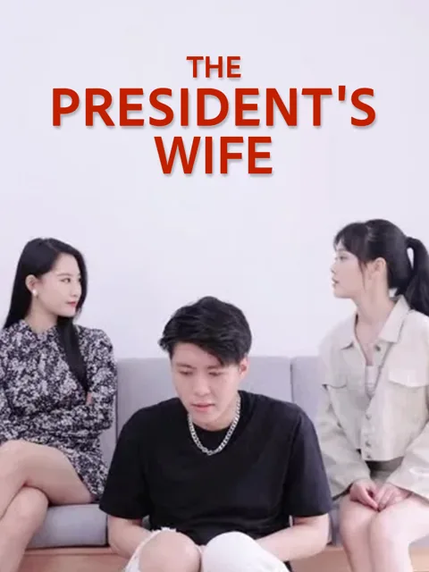 The President's Wife poster