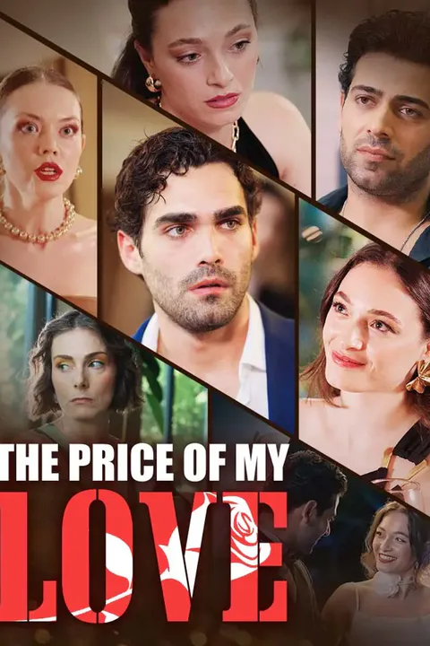 The Price Of My Love poster