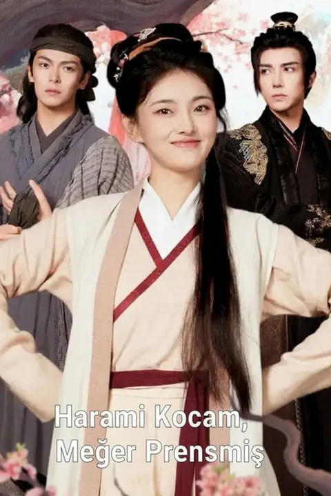 The Prince Is My Captive poster