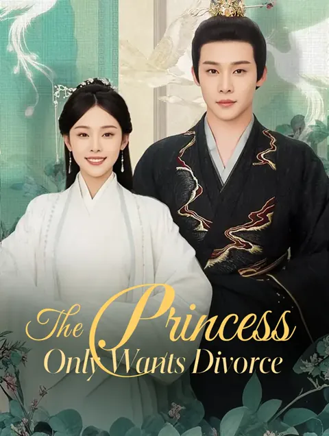 The Princess Only Wants Divorce(Dubbed) poster
