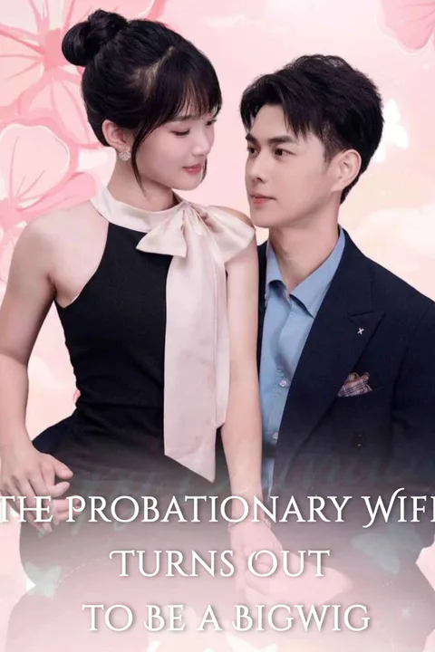 The Probationary Wife Turns Out to Be a Bigwig poster