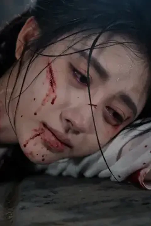 The Reborn Heiress's Revenge poster