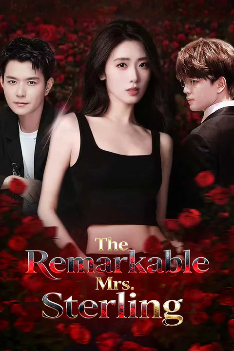 The Remarkable Mrs. Sterling poster