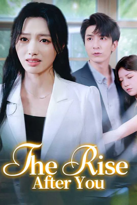 (Dubbed) The Rise After You poster